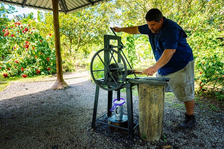 La Fortuna Sloth Tour and Tortilla Cooking Class - Wildlife Walk & Cultural Tasting photo 4