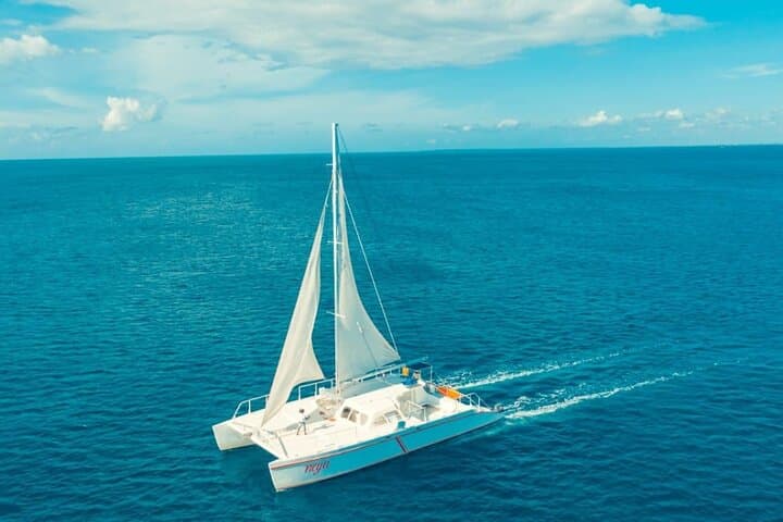 Saona Island Tropical Escape: Full-Day Catamaran to Natural Pools & Starfish Beaches photo 1