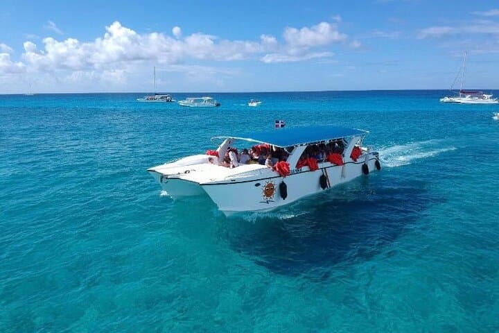 Saona Island Tropical Escape: Full-Day Catamaran to Natural Pools & Starfish Beaches photo 3