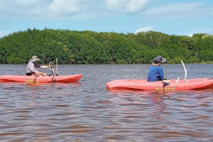 Sisal Mangroves and Beach Expedition from Merida: Kayak, Flamingos & Carbonera Spring photo 3