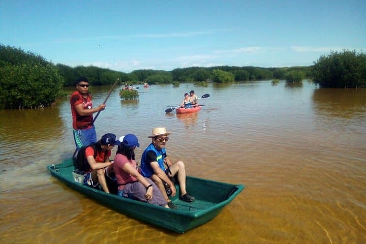 Sisal Mangroves and Beach Expedition from Merida: Kayak, Flamingos & Carbonera Spring photo 4