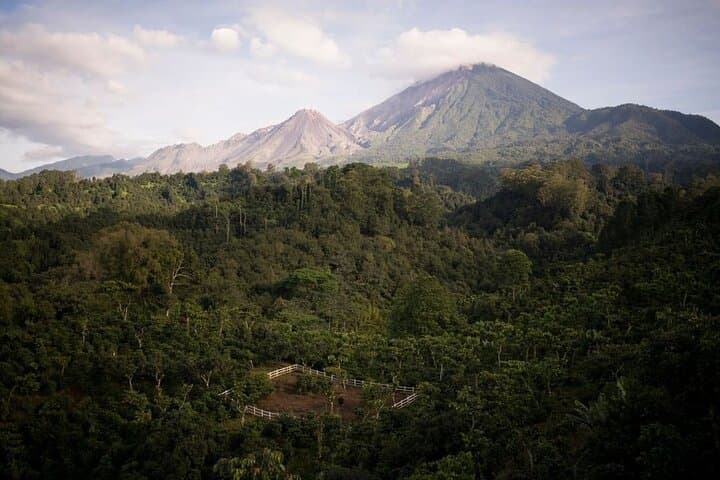 Xela Wellness Immersion: Forest, Coffee Farm & Chicabal Volcano Day Retreat