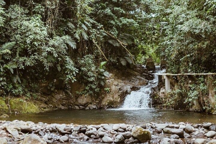 Xela Wellness Immersion: Forest, Coffee Farm & Chicabal Volcano Day Retreat photo 3