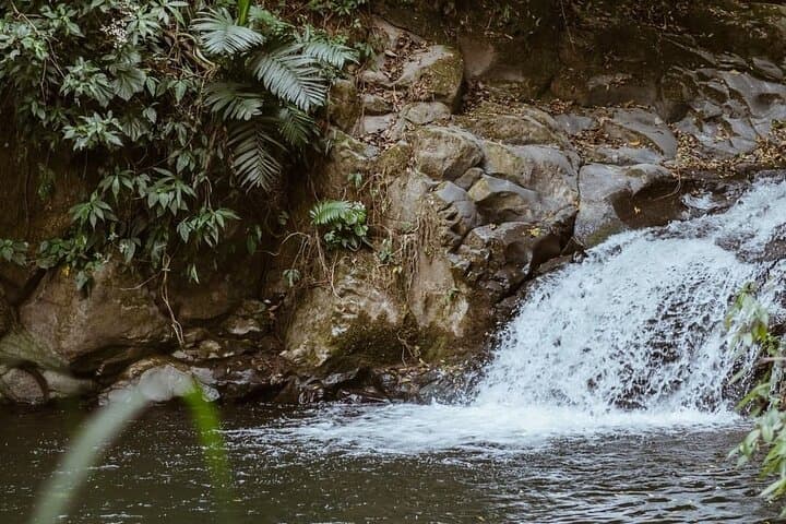 Xela Wellness Immersion: Forest, Coffee Farm & Chicabal Volcano Day Retreat photo 4