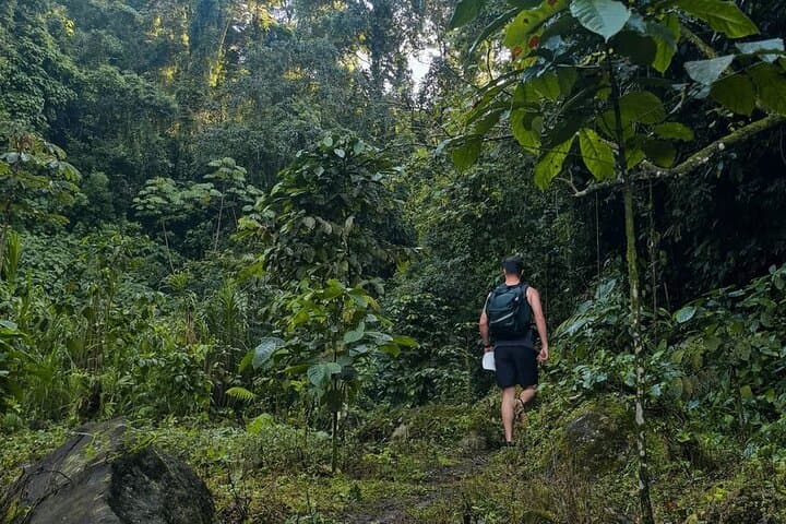 Xela Wellness Immersion: Forest, Coffee Farm & Chicabal Volcano Day Retreat photo 6