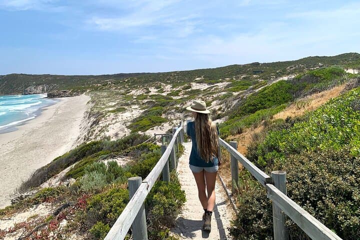 3-Day Kangaroo Island Adventure: Hikes, Wildlife, and Swag Camping from Adelaide photo 3