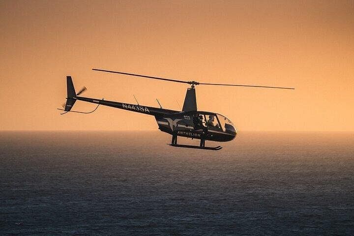Los Angeles Helicopter Tour from Long Beach: Hollywood Sign, Beaches & Beverly Hills photo 4