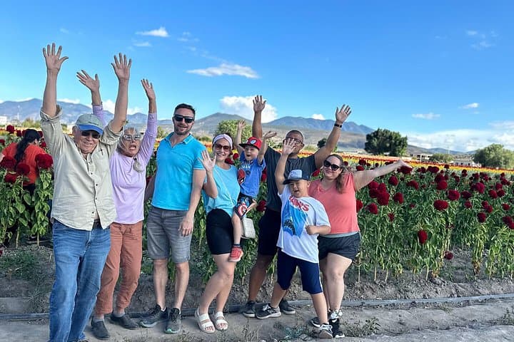 Hierve el Agua and Mezcal: Small-Group Day Tour from Oaxaca City photo 1