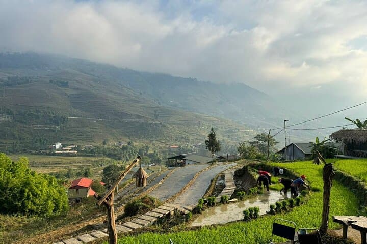 Sapa 3-Day Trek from Ha Noi: Lao Chai to Ban Ho Homestays with Local Guides photo 2