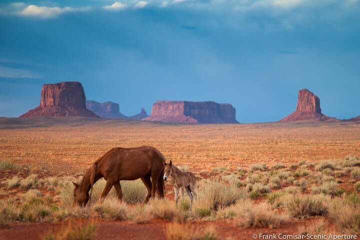 Explore Monument Valley: Private Navajo-Guided Journey into Iconic Desert Landscapes photo 2