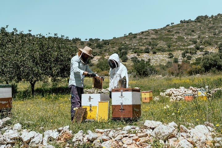Private Crete Day Tour: Wine, Beekeeping, Zominthos & Anogia Village