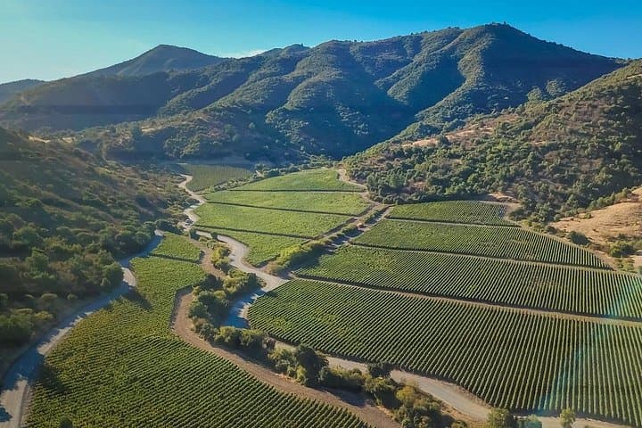 Private Colchagua Valley Wine Day Trip from Santiago: Lapostolle & Viña Montes