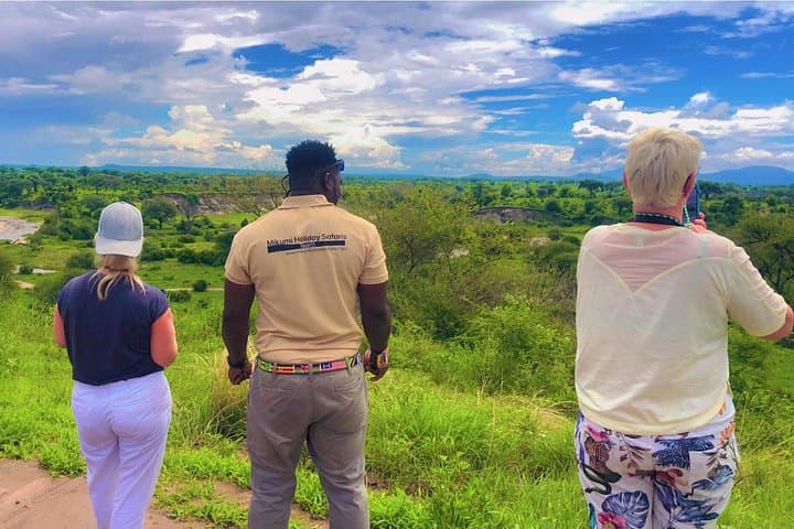 Two-Day Tarangire and Ngorongoro Safari — Big Game, Crater Views & Maasai Encounters photo 3