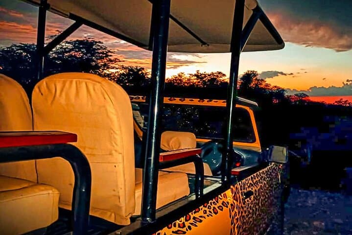 Zambezi Game Drive from Victoria Falls: Morning & Afternoon Safari Experience photo 2