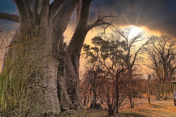 Zambezi Game Drive from Victoria Falls: Morning & Afternoon Safari Experience photo 3
