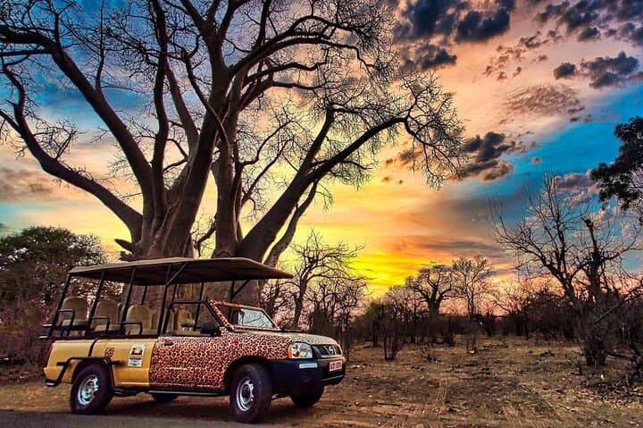 Zambezi Game Drive from Victoria Falls: Morning & Afternoon Safari Experience photo 1