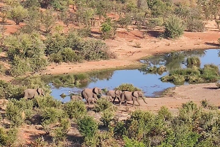 Vulture Safari & Baobab Tour at Victoria Falls National Park photo 4