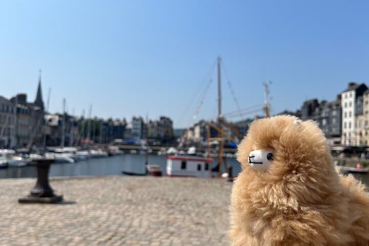 Two-Day Private Normandy & Mont Saint-Michel Tour from Paris