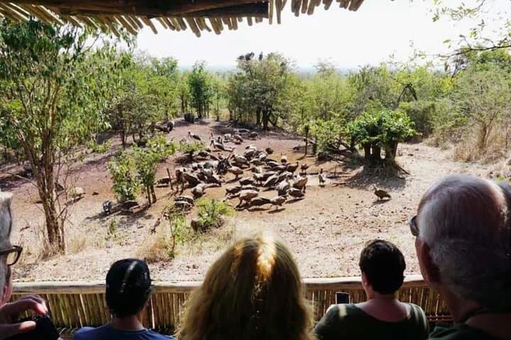 Victoria Falls 4x4 Safari: 2-Hour Game Drive & Zambezi Gorge Panorama photo 3
