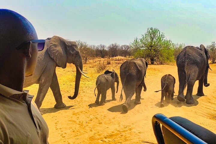 Victoria Falls 4x4 Safari: 2-Hour Game Drive & Zambezi Gorge Panorama photo 1