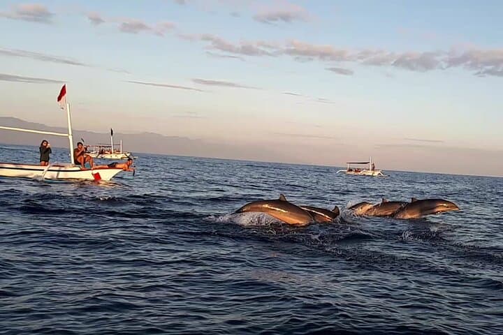 Lovina Sunrise Dolphin Cruise with Snorkeling & Gitgit Waterfall Day Trip