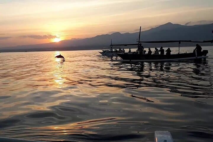 Lovina Sunrise Dolphin Cruise with Snorkeling & Gitgit Waterfall Day Trip photo 4