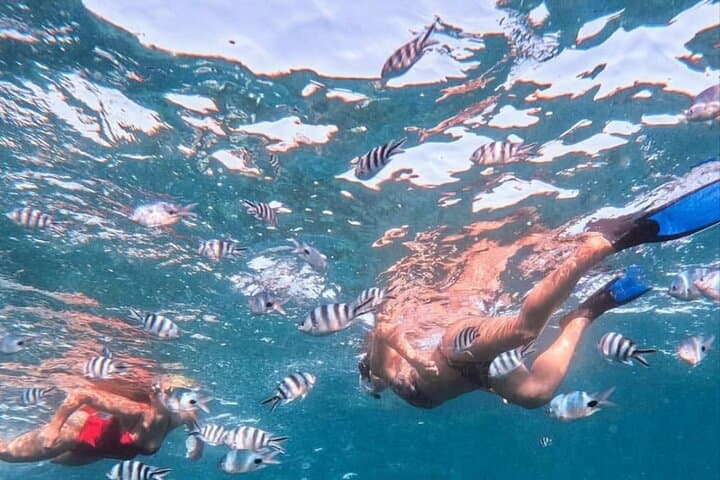 Lovina Sunrise Dolphin Cruise with Snorkeling & Gitgit Waterfall Day Trip photo 5