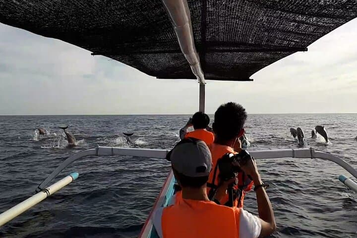 Lovina Sunrise Dolphin Cruise with Snorkeling & Gitgit Waterfall Day Trip photo 3