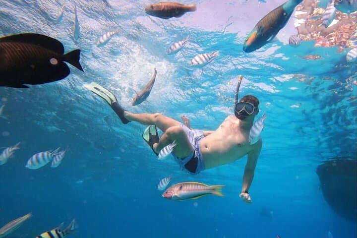 Lovina Sunrise Dolphin Cruise with Snorkeling & Gitgit Waterfall Day Trip photo 6