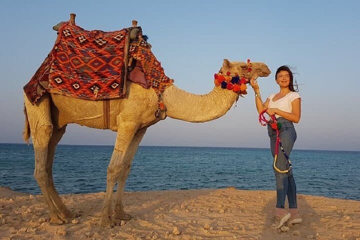 Sunrise Horse & Camel Ride in Hurghada — Desert and Red Sea Excursion photo 6