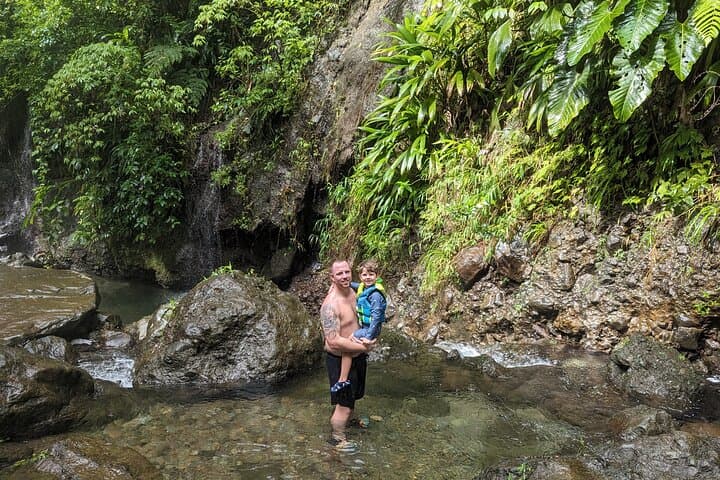 Dominica Jungle Waterfalls Hike and Sulfur Pools — Day Trip from Roseau photo 4