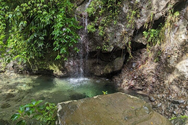 Dominica Jungle Waterfalls Hike and Sulfur Pools — Day Trip from Roseau photo 5