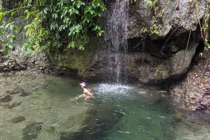 Dominica Jungle Waterfalls Hike and Sulfur Pools — Day Trip from Roseau photo 6