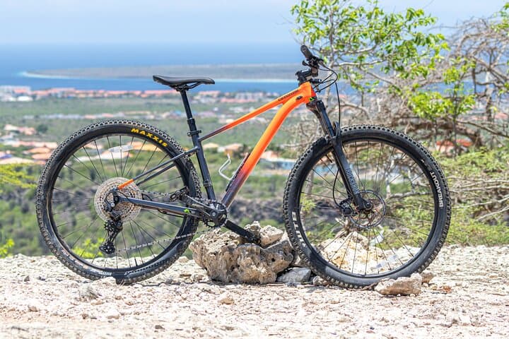 Bonaire Mountain Bike Rental: Ride Coastal Trails & Countryside photo 4