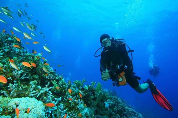 Orange Island Scuba & Snorkeling Tour from Hurghada — Red Sea Reefs photo 1