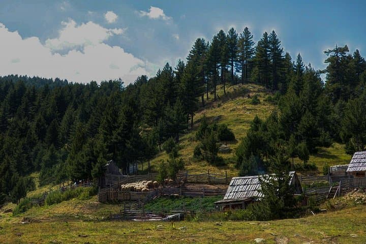 Peaks of the Balkans: 8-Day Cross-Border Trek from Theth to Plav photo 4