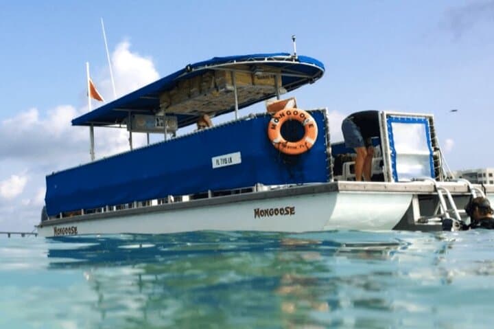 Crab Island & Destin Harbor Cruise: 3-Hour Boat Tour with Snorkel and Paddleboards photo 2
