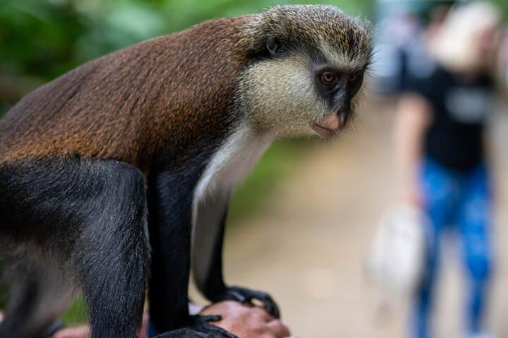 Private Full-Day Grenada Island Tour: Spice Market, Waterfalls, Nutmeg & Grand Etang photo 2