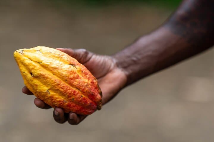 Private Full-Day Grenada Island Tour: Spice Market, Waterfalls, Nutmeg & Grand Etang photo 4