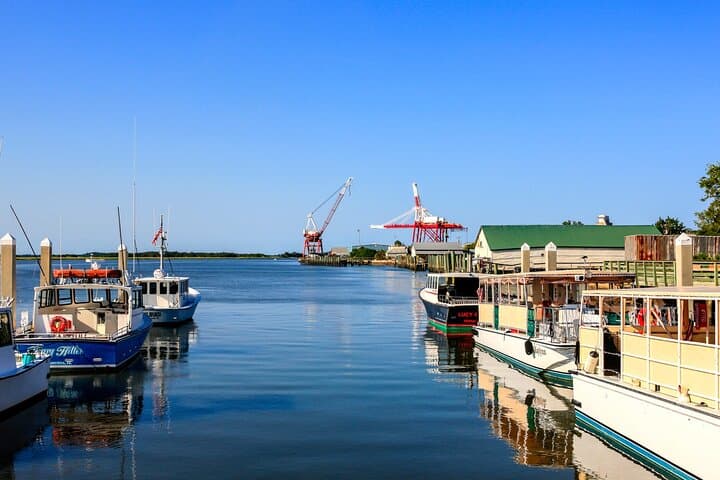 Fernandina’s Finest: Private Walking Tour of Amelia Island History and Harbor photo 2