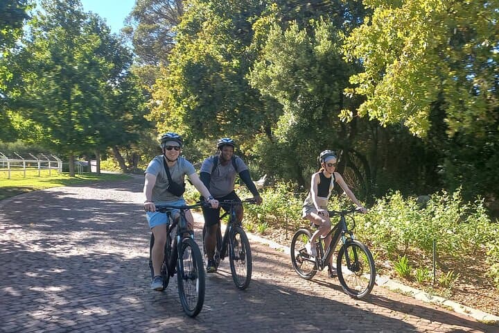 Franschhoek E-Bike and Wine Tour: Half-Day Shared Winelands Ride photo 2