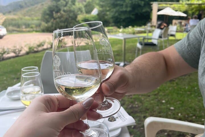 Franschhoek E-Bike and Wine Tour: Half-Day Shared Winelands Ride photo 3