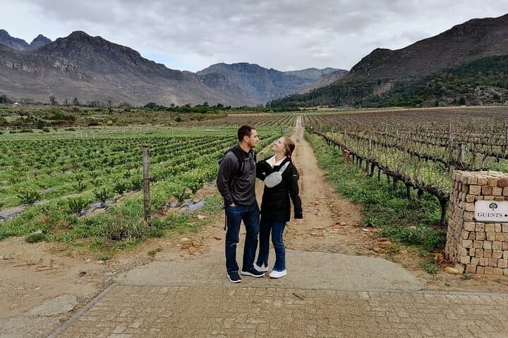 Franschhoek E-Bike and Wine Tour: Half-Day Shared Winelands Ride photo 4