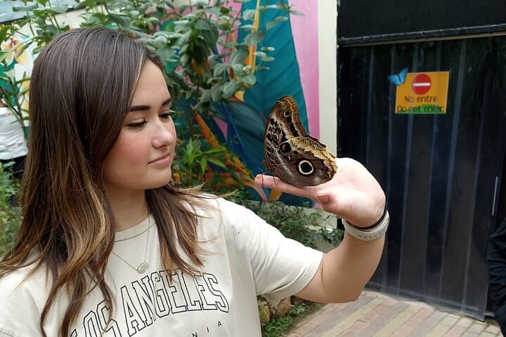 Full-Day Mindo Cloud Forest Tour: Butterflies, Waterfalls & Chocolate from Quito photo 6