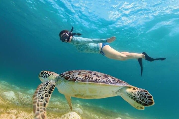 Tulum, Mariposa Cenote & Akumal: Turtle-Swim Day Trip from Riviera Maya photo 3
