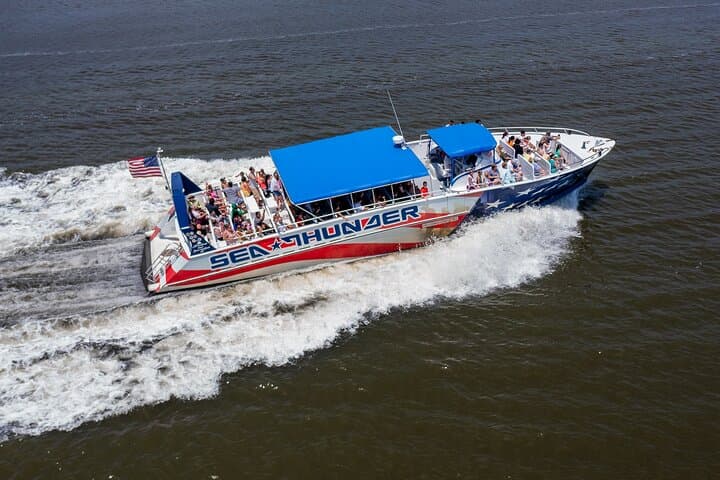 Sea Thunder 2-Hour Dolphin Cruise from Historic Little River, SC