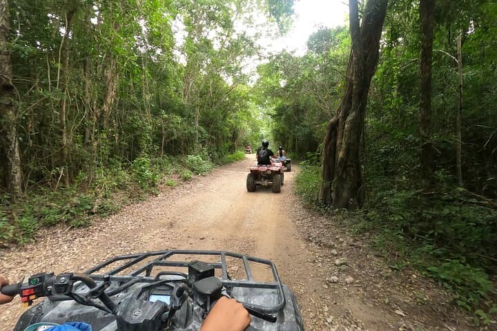 Jungle ATV Adventure to Akumal Cenotes from Tulum photo 3