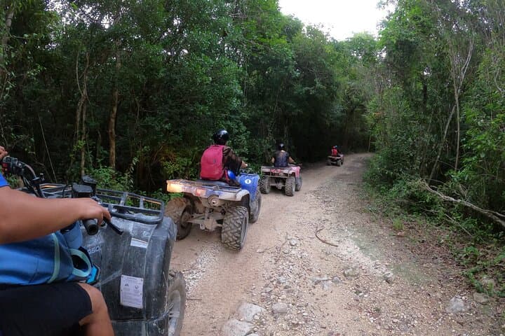 Jungle ATV Adventure to Akumal Cenotes from Tulum photo 4