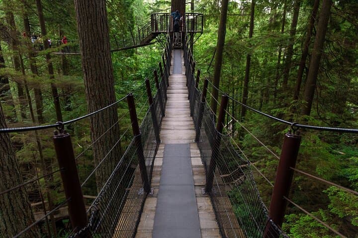 Grouse Mountain & Capilano Suspension Bridge: Private Day Tour from Vancouver