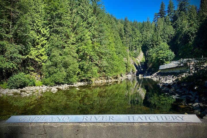 Grouse Mountain & Capilano Suspension Bridge: Private Day Tour from Vancouver photo 5